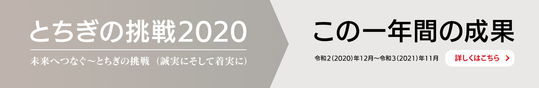 この一年間の成果